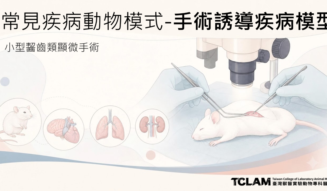 [線上課程] 常見疾病動物模式-小型齧齒類手術誘導疾病模型