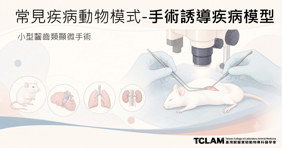 嚙齒類及兔實驗動物常見傳染病的診斷方法_2026_1200.630