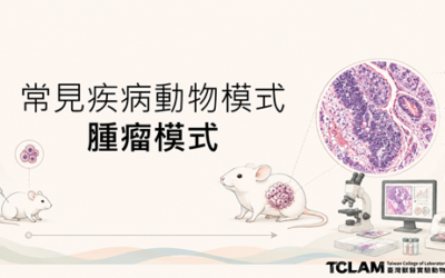 [線上課程] 常見疾病動物模式-腫瘤疾病模式