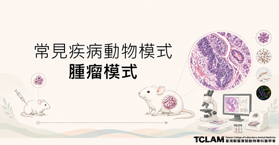 [線上課程] 常見疾病動物模式-腫瘤疾病模式